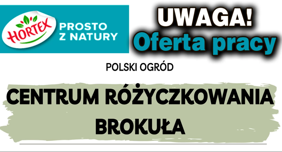 ogłoszenia, Centrum Różyczkowania Brokuła ruszyło rekrutacją pracy Garwolewie - zdjęcie, fotografia