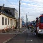 zdjęcie nr 8