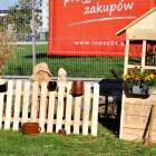 zdjęcie nr 145
