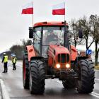 zdjęcie nr 31