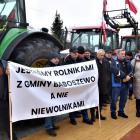 Fotka nr 1 z 31