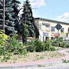 zdjęcie nr 29