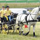 zdjęcie nr 74