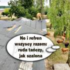 Fotka nr 2 z 15