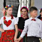 zdjęcie nr 7