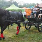 zdjęcie nr 147