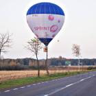zdjęcie nr 8