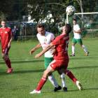zdjęcie nr 179
