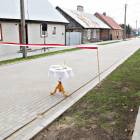 zdjęcie nr 7