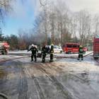 Fotka nr 2 z 12