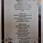 zdjęcie nr 32