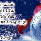 zdjęcie nr 8