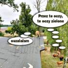 zdjęcie nr 8