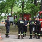 Fotka nr 1 z 177