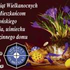 zdjęcie nr 13