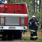 zdjęcie nr 51