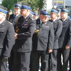 zdjęcie nr 222