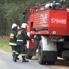 Fotka nr 4 z 53