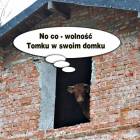 zdjęcie nr 9