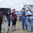 zdjęcie nr 91