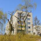 Fotka nr 3 z 13