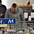 zdjęcie nr 15