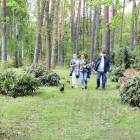 zdjęcie nr 421