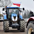 zdjęcie nr 20