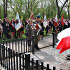 zdjęcie nr 45