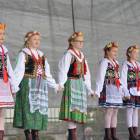 zdjęcie nr 214