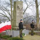 zdjęcie nr 50