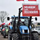 zdjęcie nr 21