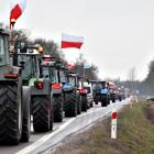 zdjęcie nr 36