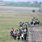 zdjęcie nr 34