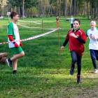 zdjęcie nr 140