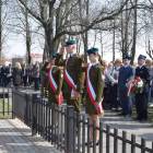 zdjęcie nr 89