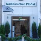 zdjęcie nr 7