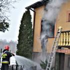 Fotka nr 3 z 11