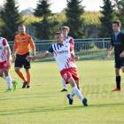 Fotka nr 3 z 49