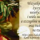 zdjęcie nr 15
