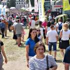 zdjęcie nr 43