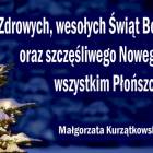 zdjęcie nr 9
