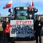 Fotka nr 3 z 44
