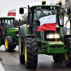 zdjęcie nr 22