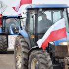 zdjęcie nr 23