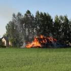 zdjęcie nr 7