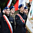 zdjęcie nr 31