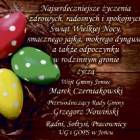 zdjęcie nr 13
