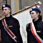 zdjęcie nr 12