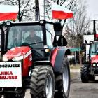 zdjęcie nr 72